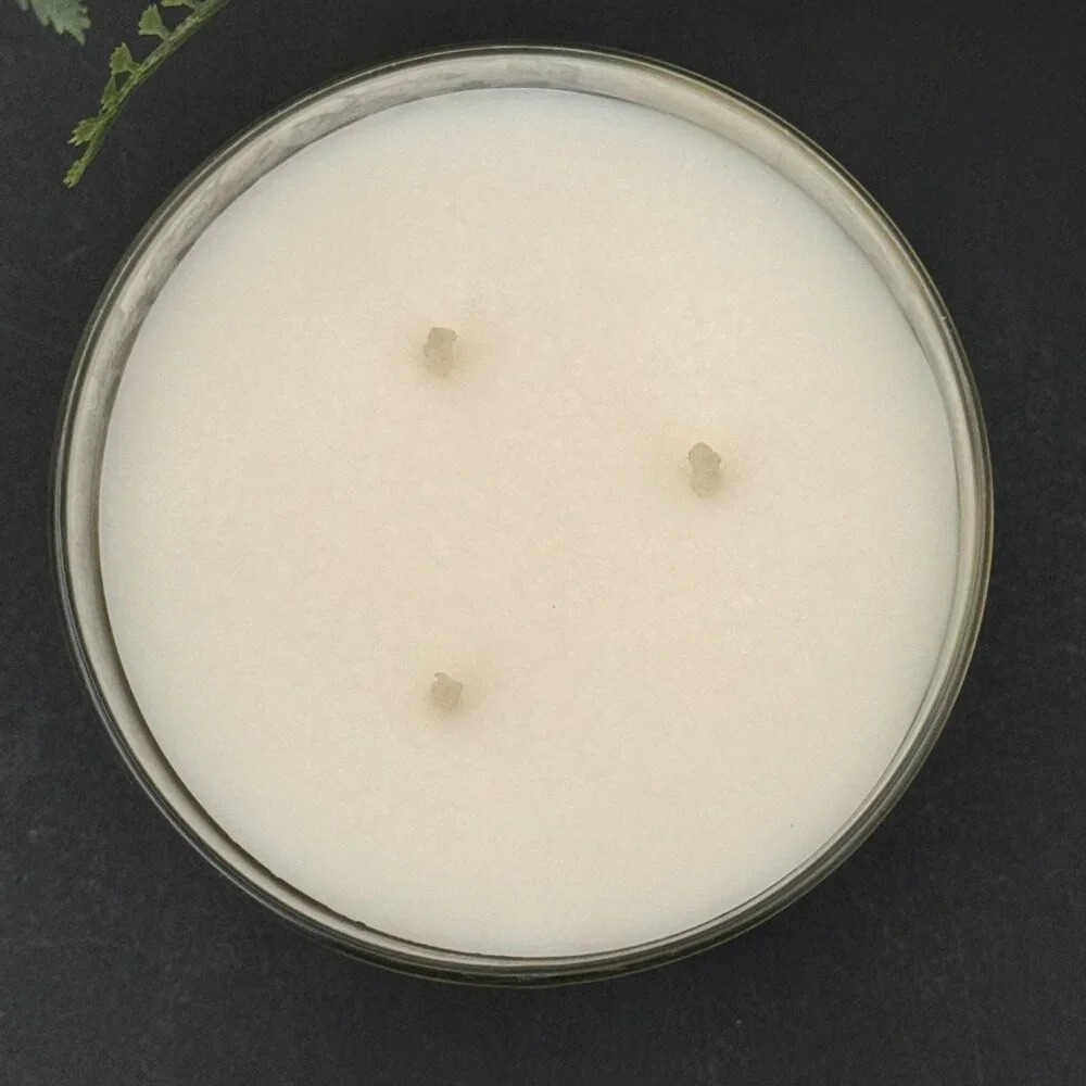 BBW Frosted Coconut Snowball Bath & Body Works 3 Wick Candle - Picture 7 of 10